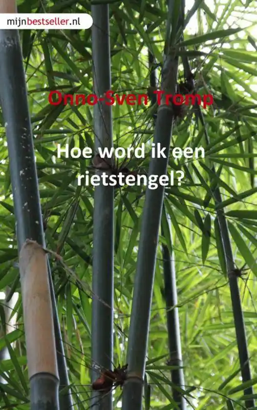 Nieuw Hoe word ik een rietstengel? / Druk 1