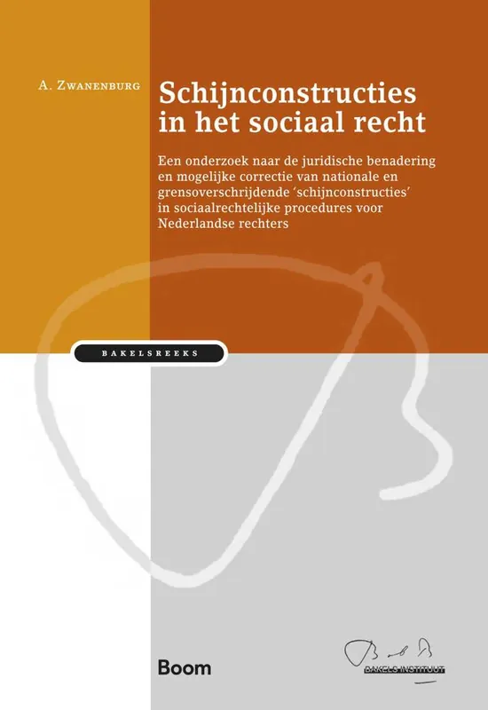 Direct Beschikbaar Schijnconstructies in het sociaal recht / Druk 1