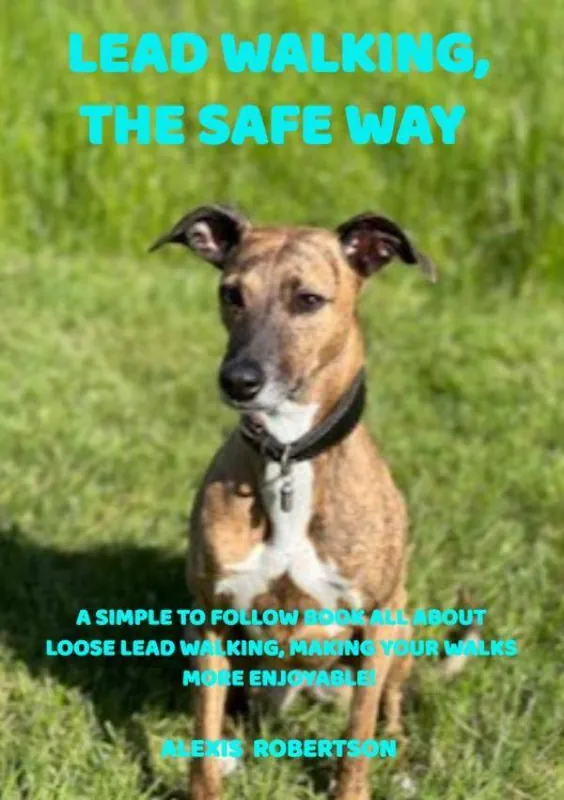 Laatste Versie Lead walking, the safe way / 1st Edition