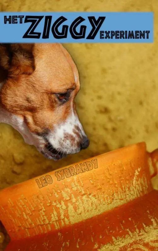 Het Ziggy experiment / Druk 2 Bestseller