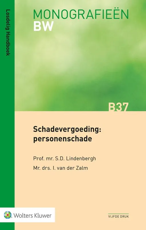 Schadevergoeding: personenschade / Druk 5 Nu Kopen