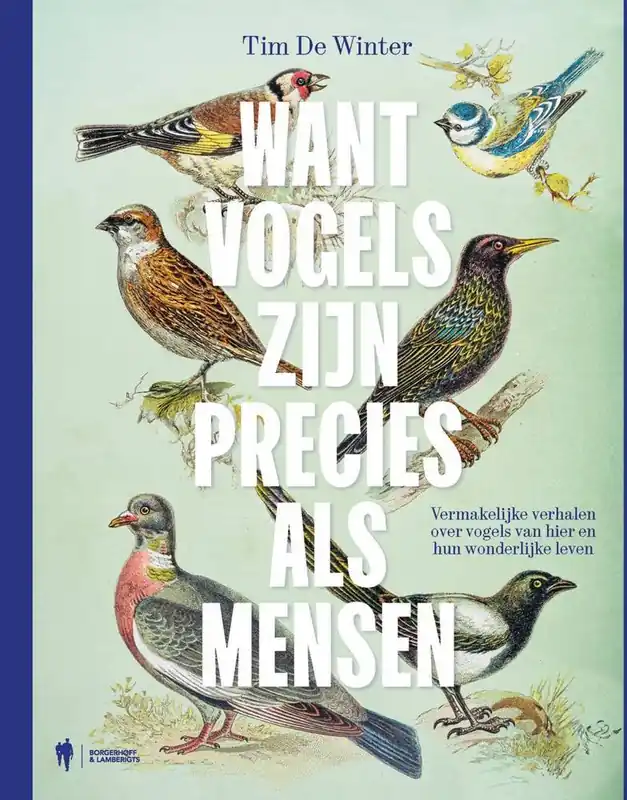Want vogels zijn precies als mensen / Druk 1 Shop Nu