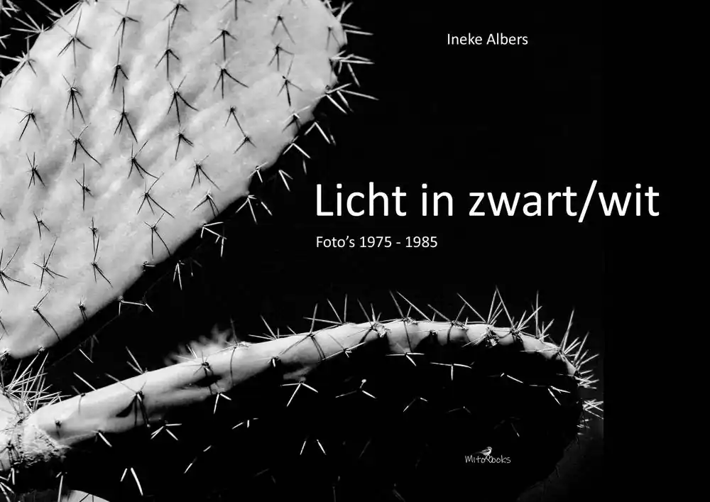 Licht in zwart/wit / Druk 1 Betrouwbaar