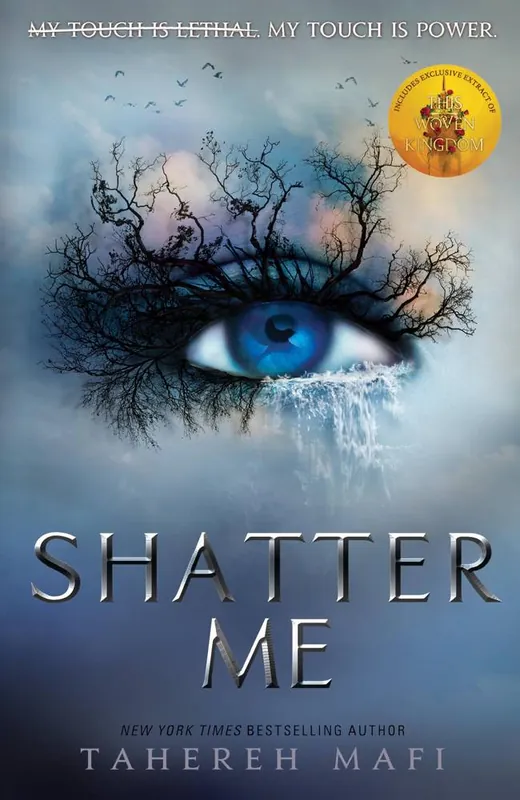 Shatter Me Lage Kosten
