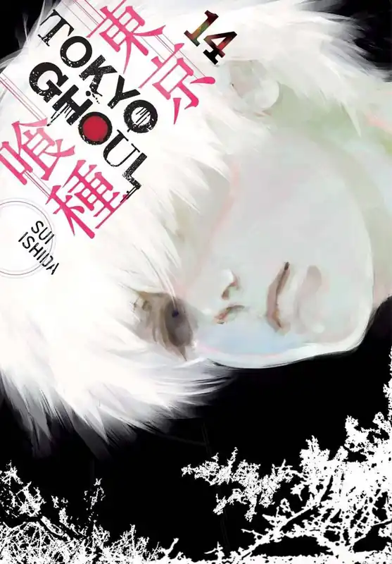 Tokyo Ghoul, Vol. 14 Direct Verzonden