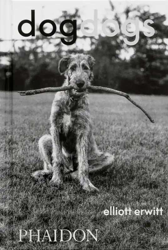 Tijdelijk Beschikbaar DogDogs