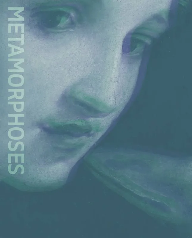 Metamorphoses – Ovid and the Arts / 1st Edition Hoge Kwaliteit