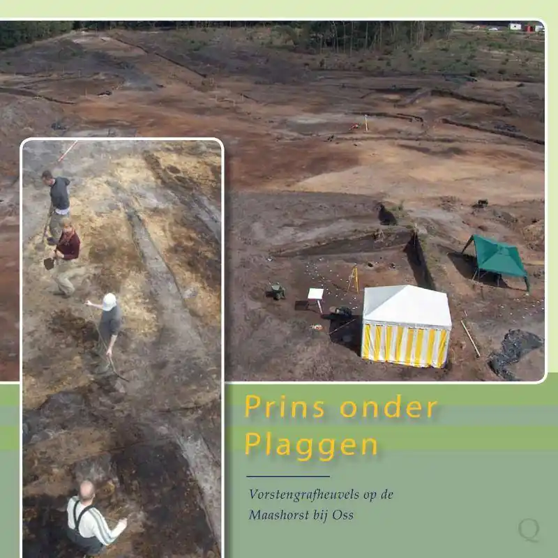 Prins onder plaggen / Druk 1 Hete Deal