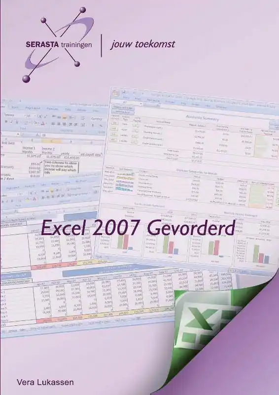 Rechtstreeks Van De Fabrikant Excel 2007 Gevorderd / Druk 1
