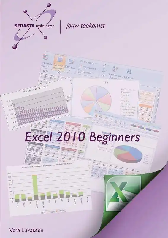 Excel 2010 Beginners / Druk 1 Koopje