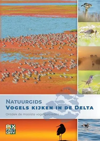 Weekendaanbieding Natuurgids Vogels kijken in de Delta / Druk 1