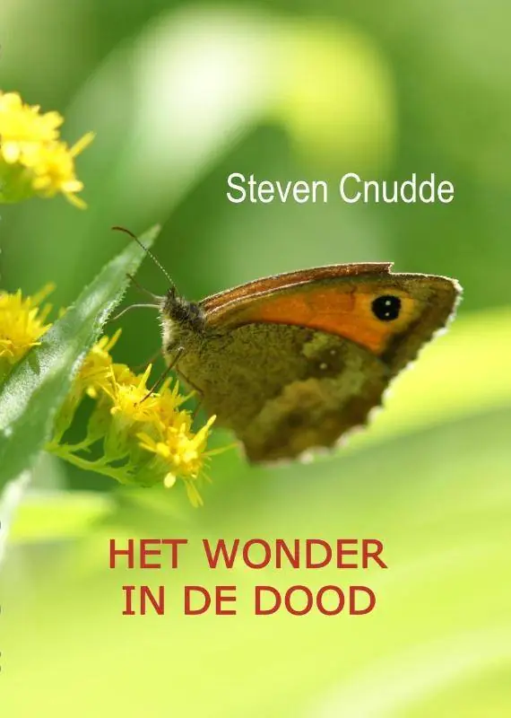 Aanbieding Het wonder in de dood / Druk 1