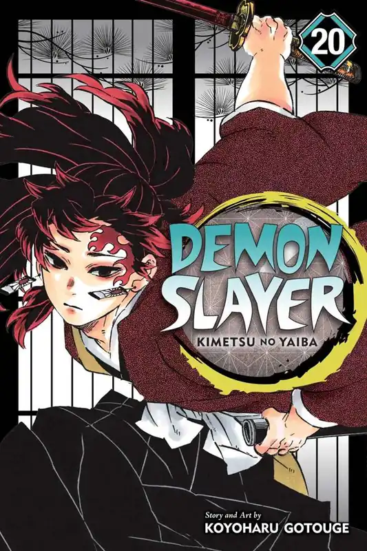 Betrouwbaar Demon Slayer: Kimetsu no Yaiba, Vol. 20