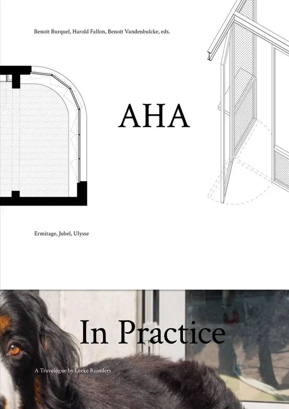 Superprijs AHA In Practice / 1st Edition