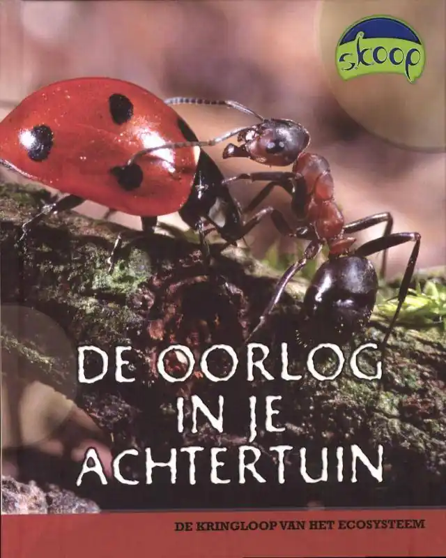 De oorlog in je achtertuin / Druk 1 Uitverkoop