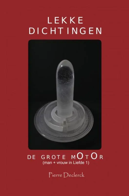 Direct Verzonden LEKKE DICHTINGEN / Druk 1