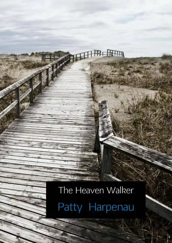The Heaven Walker / 1st Edition Koop Online