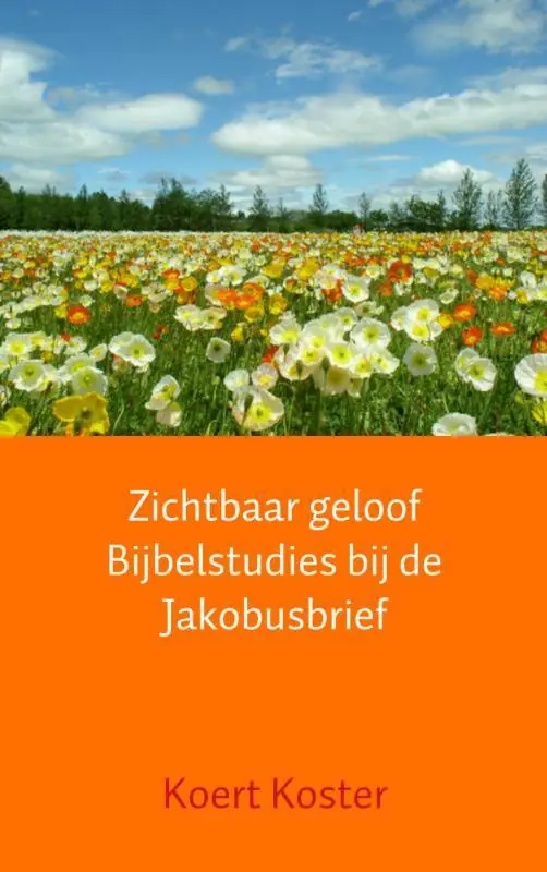 Zichtbaar geloof Bijbelstudies bij de Jakobusbrief / Druk 4 Populair