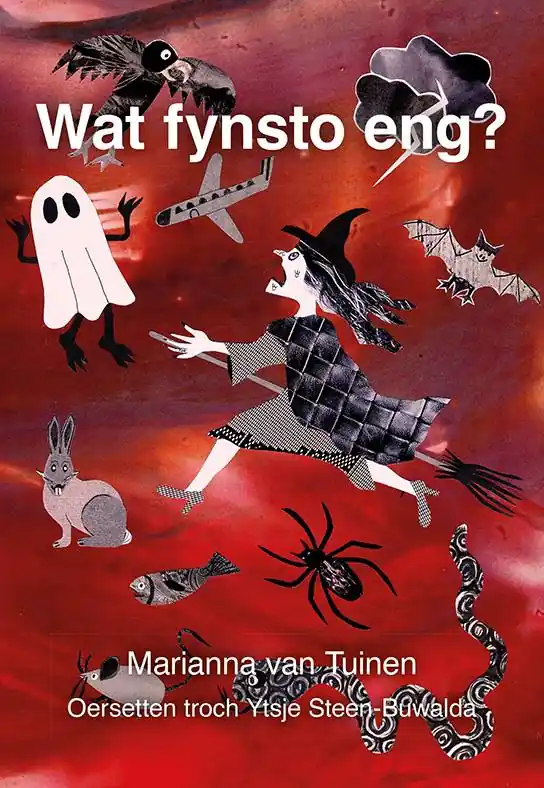Flitsaanbieding Wat fynsto eng? / Druk 1
