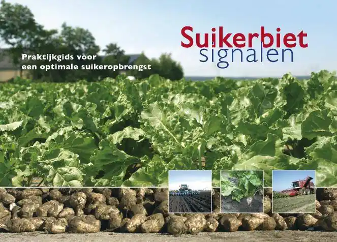 Suikerbietsignalen / Druk 1 Exclusieve Aanbieding
