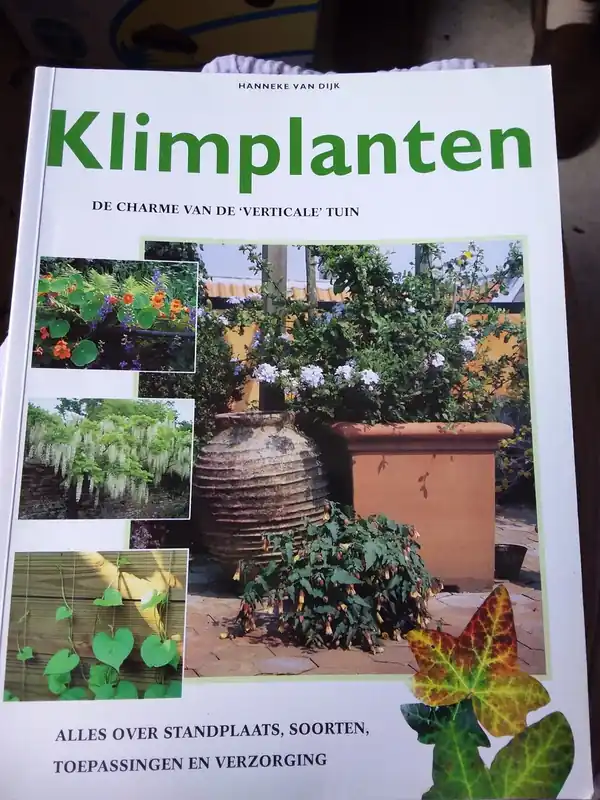 Express Levering KLIMPLANTEN - Hanneke van Dijk