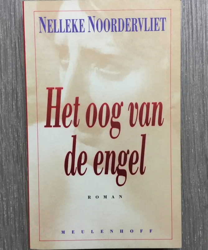 Het oog van de engel - Nelleke Noordervliet Hoge Kwaliteit