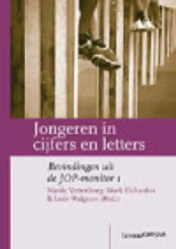 Snelle Levering Jongeren in cijfers en letters - N. Vettenburg