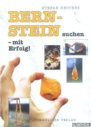 Hoge Kwaliteit Bernstein suchen mit Erfolg! - Hestnes, Stefan