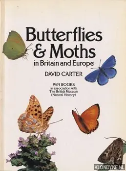 Premium Butterflies & Moths in Britain and Europe - David Carter