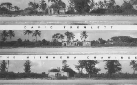 Mjimwema drawings - David Tremlett Direct Beschikbaar