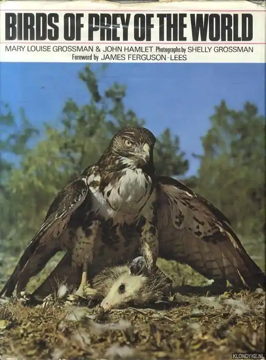 Gecertificeerd Birds of Prey of the World - Grossman, M.J. & J. Hamlet