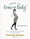 Populair How to Grow a Baby and Push It Out - Clemmie Hooper