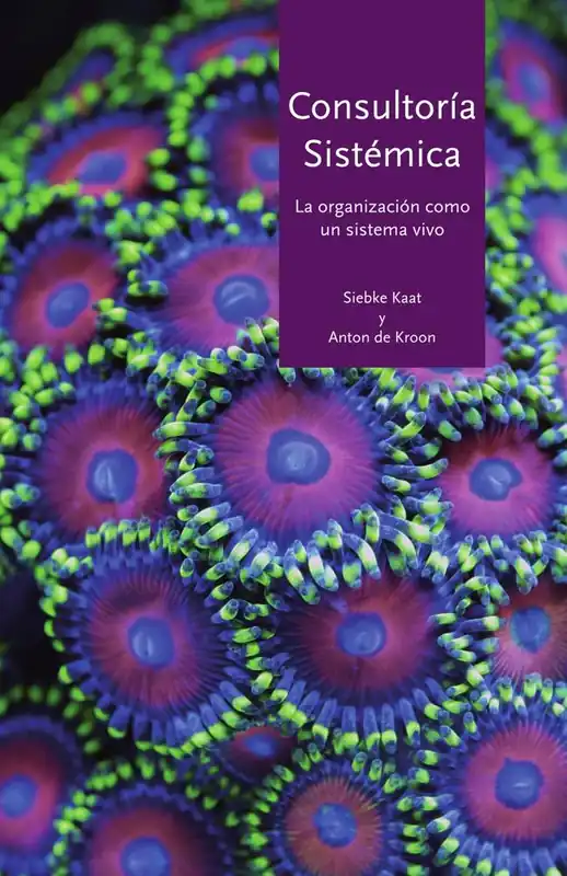 Consultoria Sistemica / 1 Edition Gecertificeerd