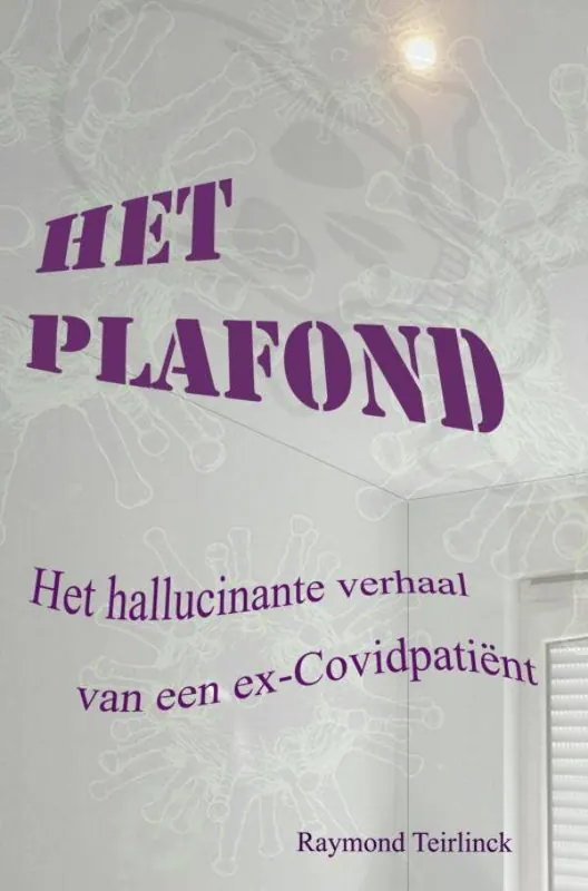 Het Plafond / Druk 1 Tijdelijk Beschikbaar