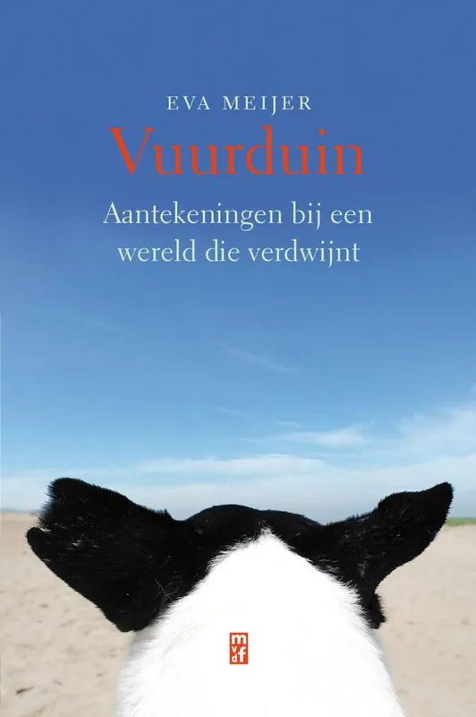 Tijdelijk Beschikbaar Vuurduin / Druk 1