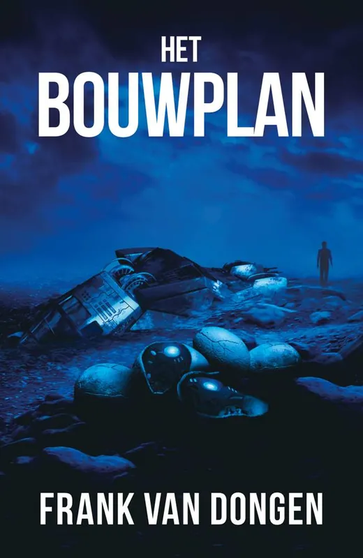 Lage Kosten Het Bouwplan / Druk 2