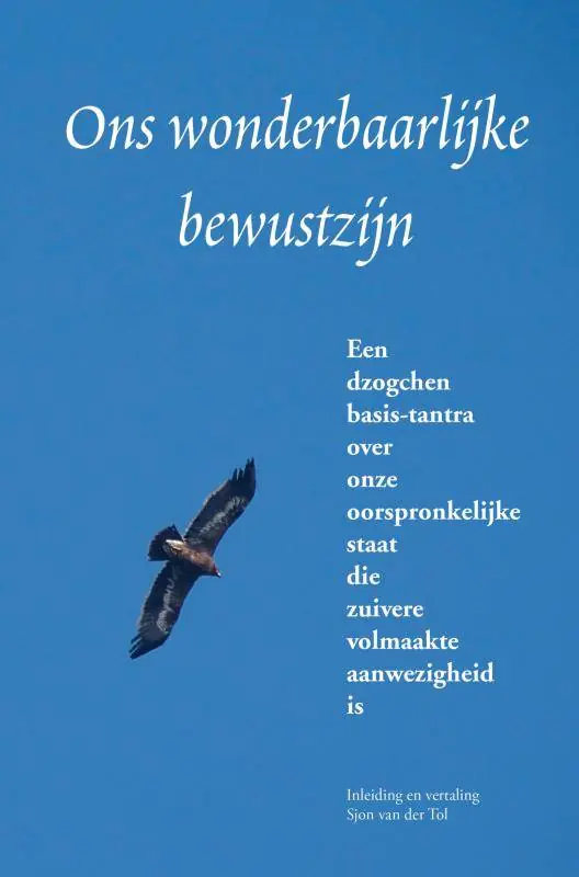 Uitverkoop Ons wonderbaarlijke bewustzijn / Druk 2