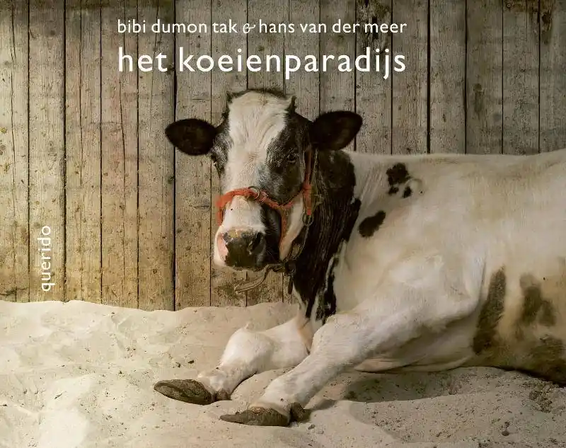 Weekendaanbieding Het koeienparadijs / Druk 1
