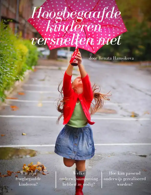 Hoogbegaafde kinderen versnellen niet / Druk 1 Goedkoop