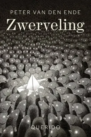Zwerveling / Druk 4 Veilige Betaling