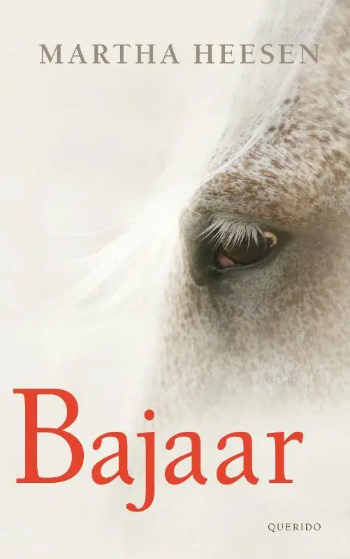 Rechtstreeks Van De Fabrikant Bajaar / Druk 1