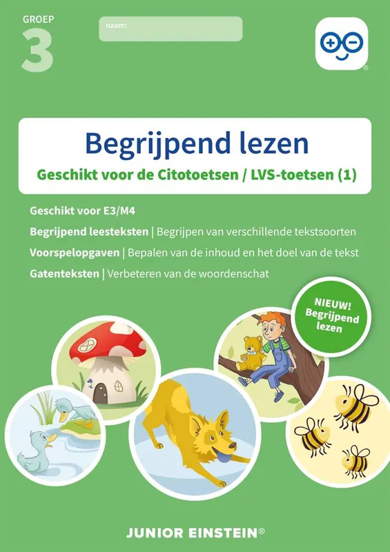 Betaalbaar Begrijpend lezen (1) Groep 3 Oefenboek / Druk 1
