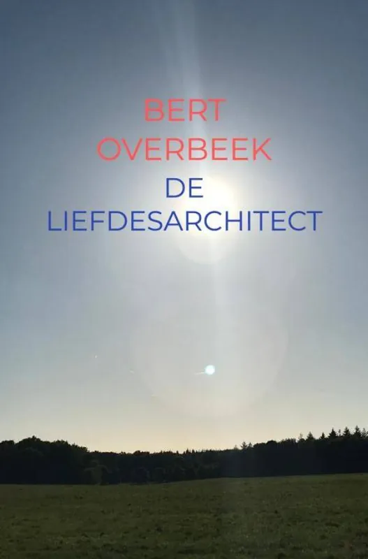 De Liefdesarchitect / Druk 1 Koop Online
