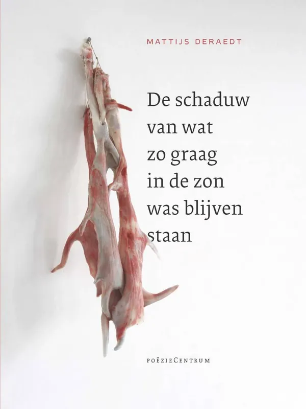 Exclusieve Aanbieding De schaduw van wat zo graag in de zon was blijven staan / Druk 1