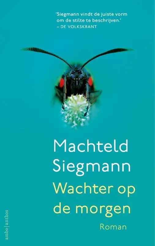 Wachter op de morgen / Druk 1 Lage Kosten