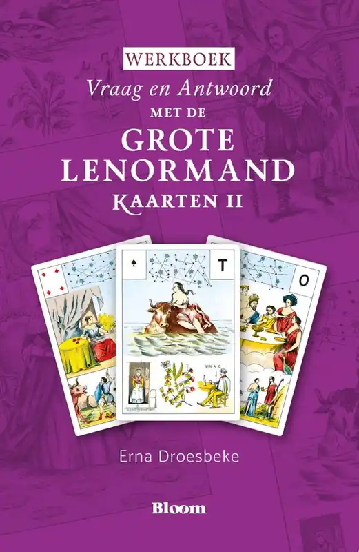 Rechtstreeks Van De Fabrikant Vraag en antwoord met de Grote Lenormandkaarten / Druk 1