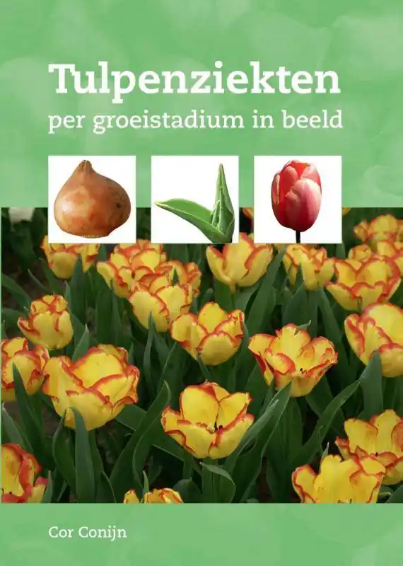 Betaalbaar Tulpenziekten / Druk 1