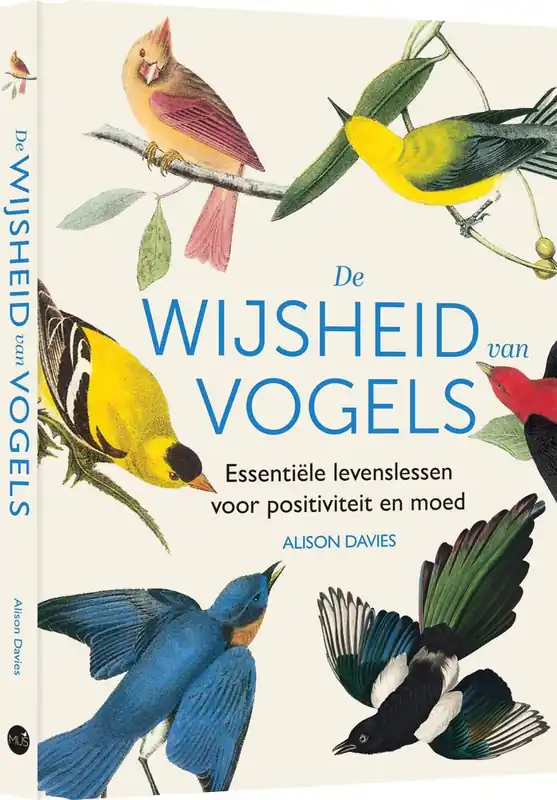 Express Levering De wijsheid van vogels / Druk 1