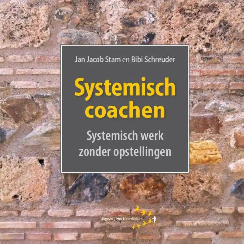 Voordeelprijs Systemisch coachen / Druk 3