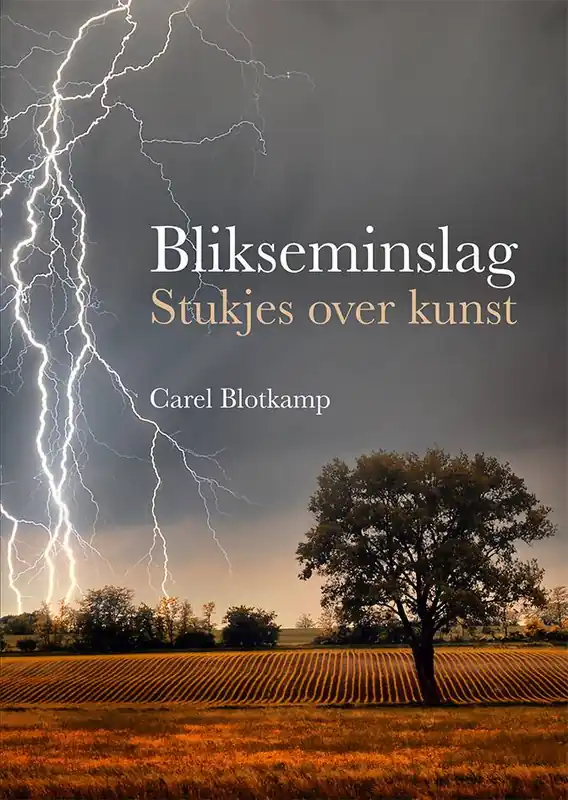 Veilige Betaling Blikseminslag / Druk 1